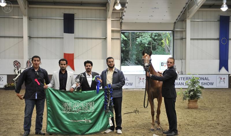 بطولة المملكة المتحدة 2021 لجمال الخيل العربية الأصيلة