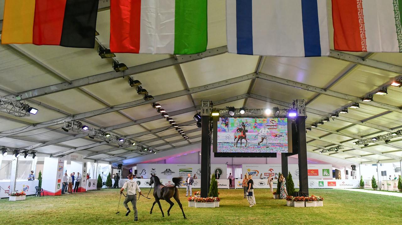 بطولة بولندا 2021 الوطنية للخيل العربية الأصيلة