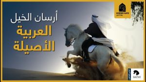 أرسان الخيل العربية الأصيلة