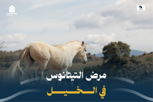 مرض التيتانوس في الخيل 2024