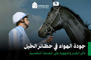 تأثير الغبار والتهوية على صحة تنفس الخيل في الحظائر