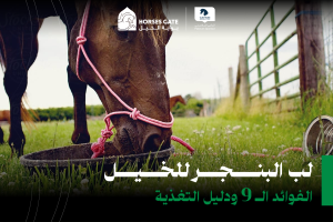 لب البنجر للخيل: الفوائد ال9 ودليل التغذية