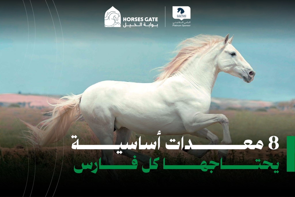 8 معدات أساسية يحتاجها كل فارس