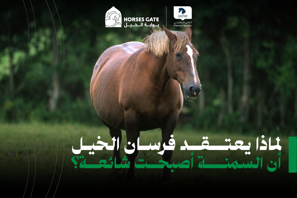 لماذا يعتقد 72% من فرسان الخيل أن السمنة أصبحت شائعة؟