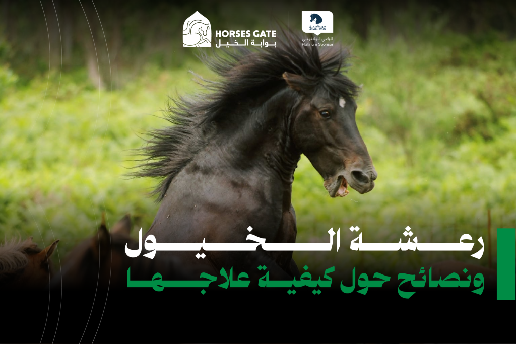 ما هو رعشة الخيول ونصائح حول كيفية علاجها