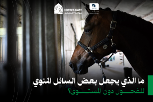 14 عاملًا رئيسيًا يؤثرون على جودة السائل المنوي للفحول