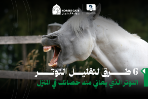 6 طرق لتقليل التوتر الذي يعاني منه حصانك في المنزل