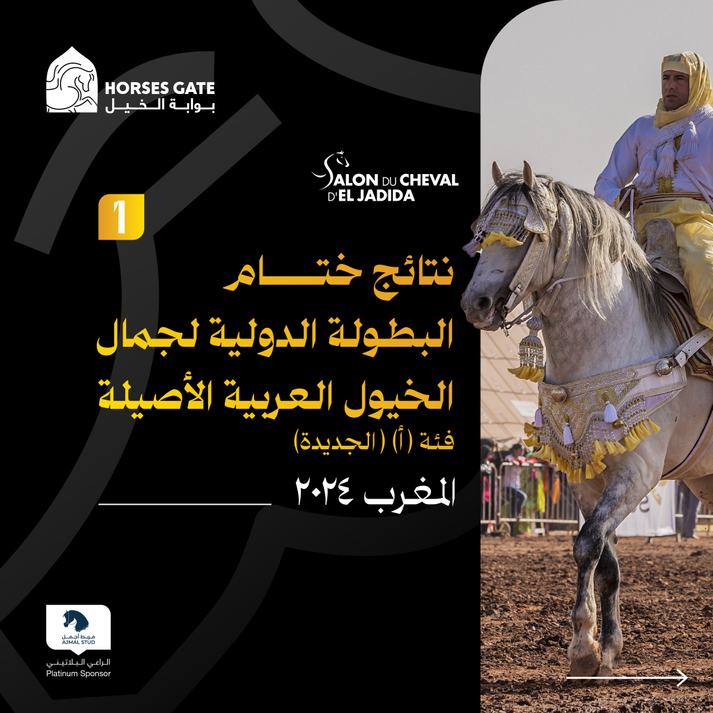 نتائج ختام البطولة الدولية لجمال الخيول العربية الأصيلة فئة (أ) (الجديدة)