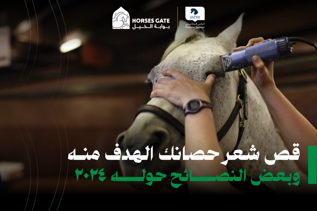 قص شعر حصانك: الهدف منه وبعض النصائح حوله ٢٠٢٤