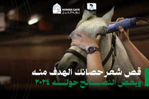 قص شعر حصانك: الهدف منه وبعض النصائح حوله ٢٠٢٤