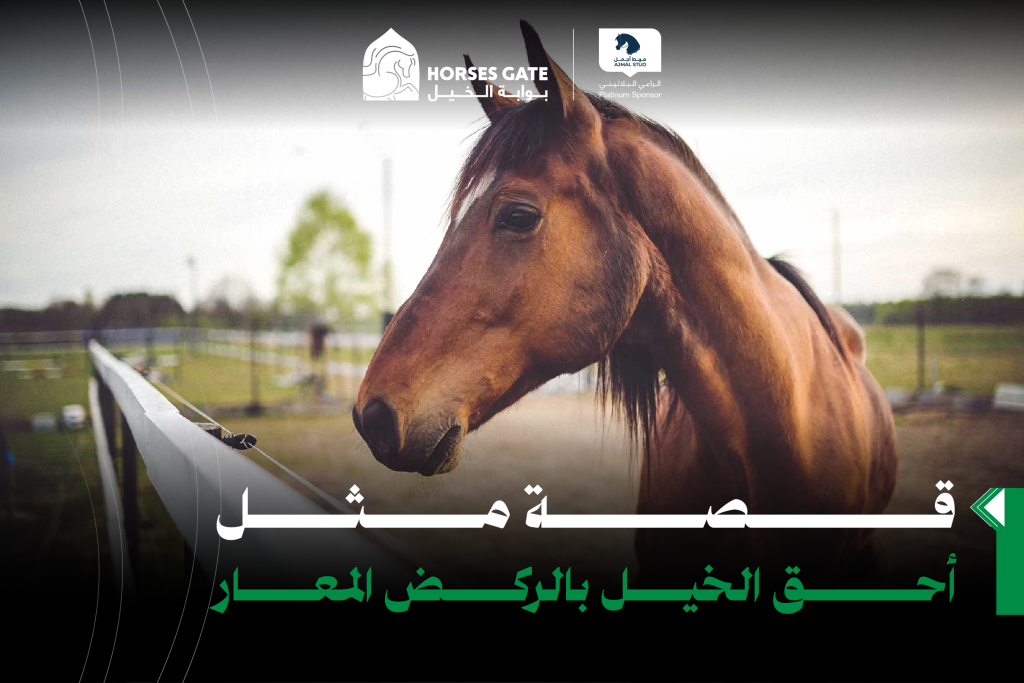قصة مثل: أحق الخيل بالركض المعار