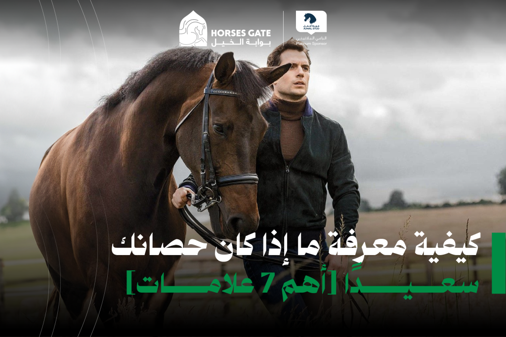 كيفية معرفة ما إذا كان حصانك سعيدًا " أهم 7 علامات "