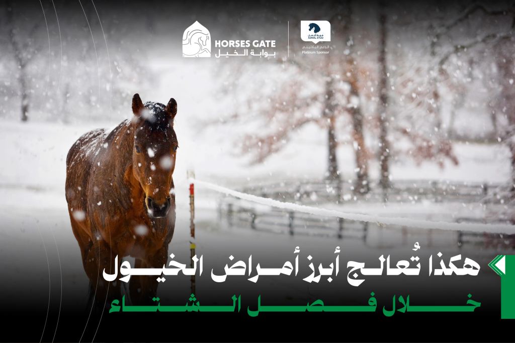 هكذا تُعالج أبرز أمراض الخيول خلال فصل الشتاء