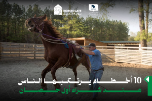 10 أخطاء يرتكبها الناس عند شراء أول حصان