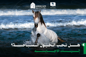 هل تحب الخيول السباحة ؟