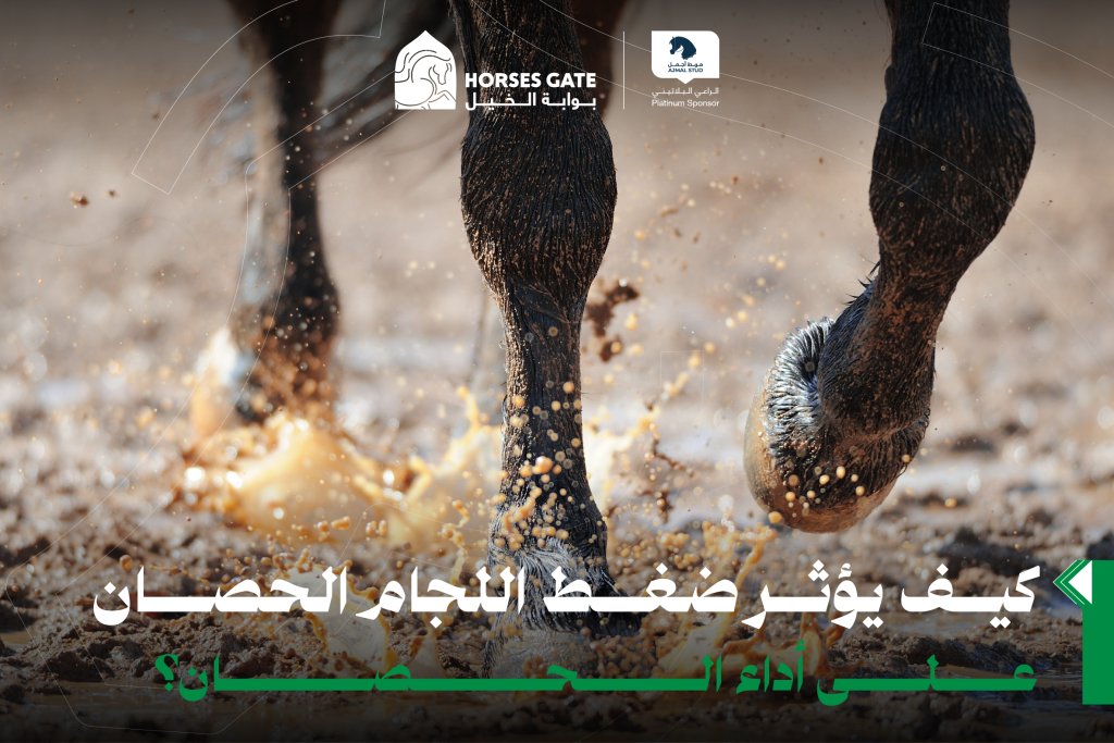 سنستعرض خلال هذه المقالة الكثير من الحقائق حول اللجام، وتأثير ضغط اللجام على أداء الحصان.