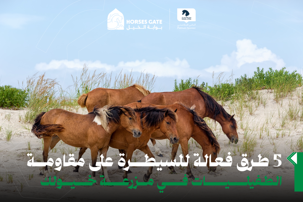 5 طرق فعالة للسيطرة على مقاومة الطفيليات في مزرعة خيلك