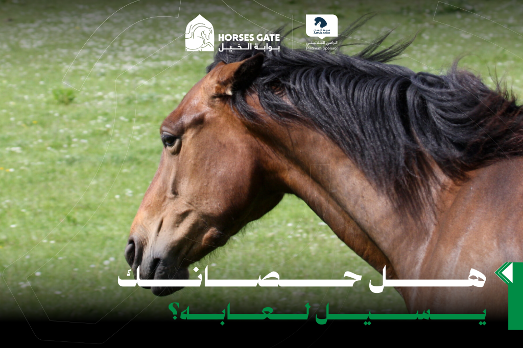 هل حصانك يسيل لعابه؟