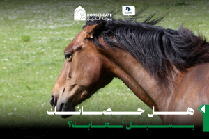 هل حصانك يسيل لعابه؟