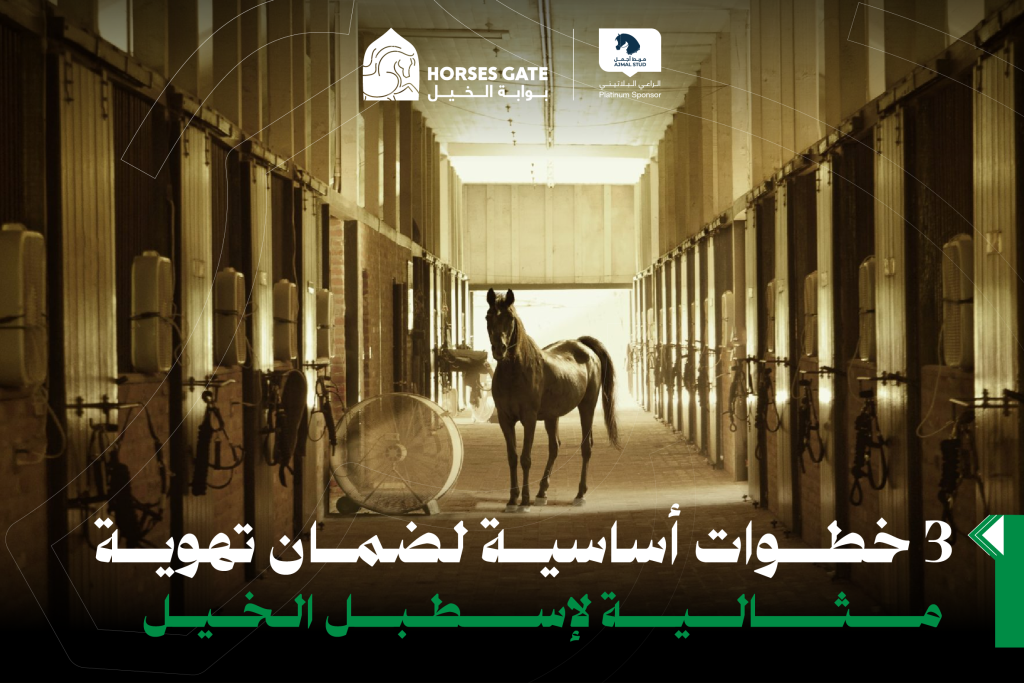 3 خطوات أساسية لضمان تهوية مثالية لإسطبل الخيل