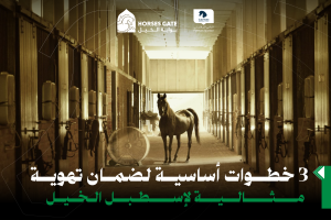 3 خطوات أساسية لضمان تهوية مثالية لإسطبل الخيل