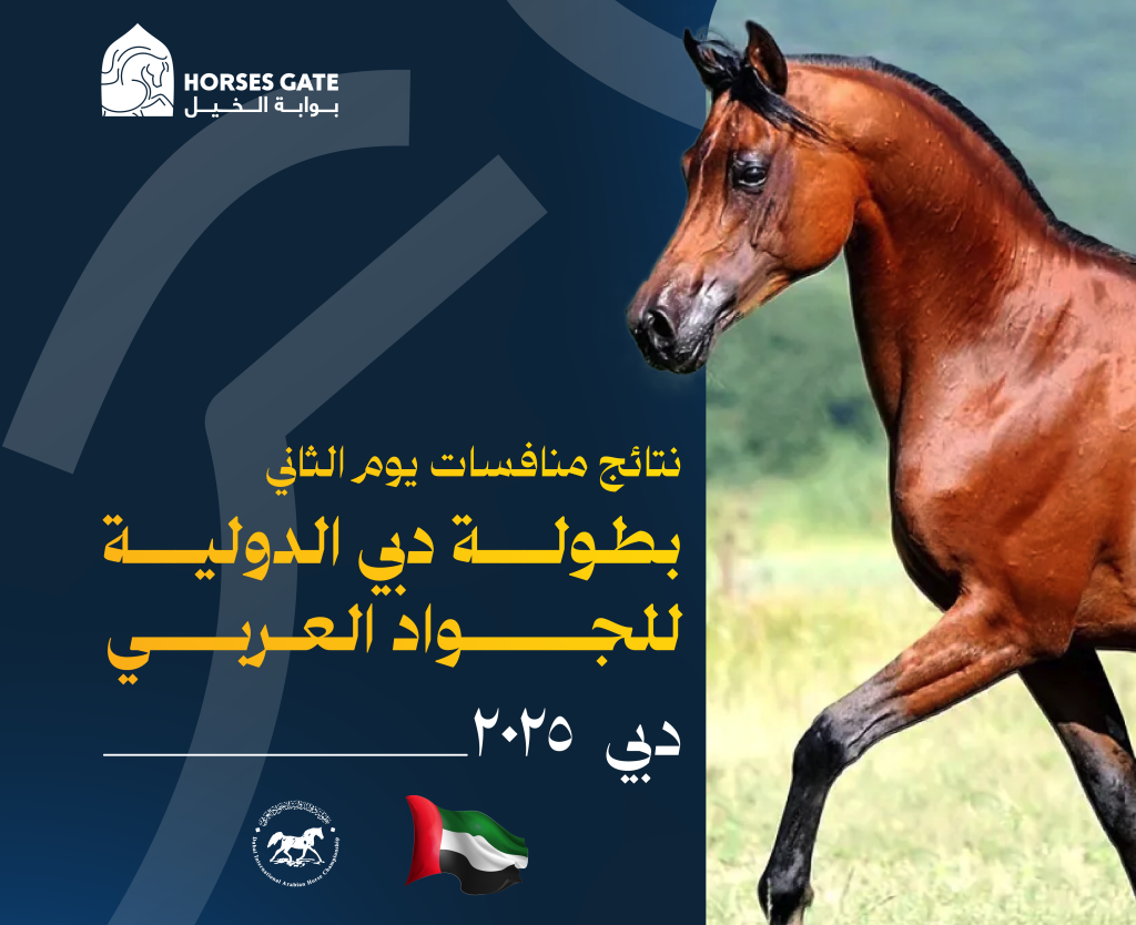 نتائج منافسات اليوم الثاني لبطولة دبي الدولية للجواد العربي 2025