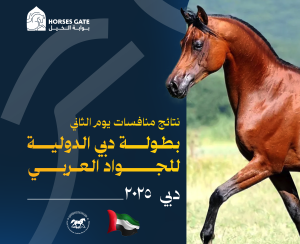 نتائج منافسات اليوم الثاني لبطولة دبي الدولية للجواد العربي 2025