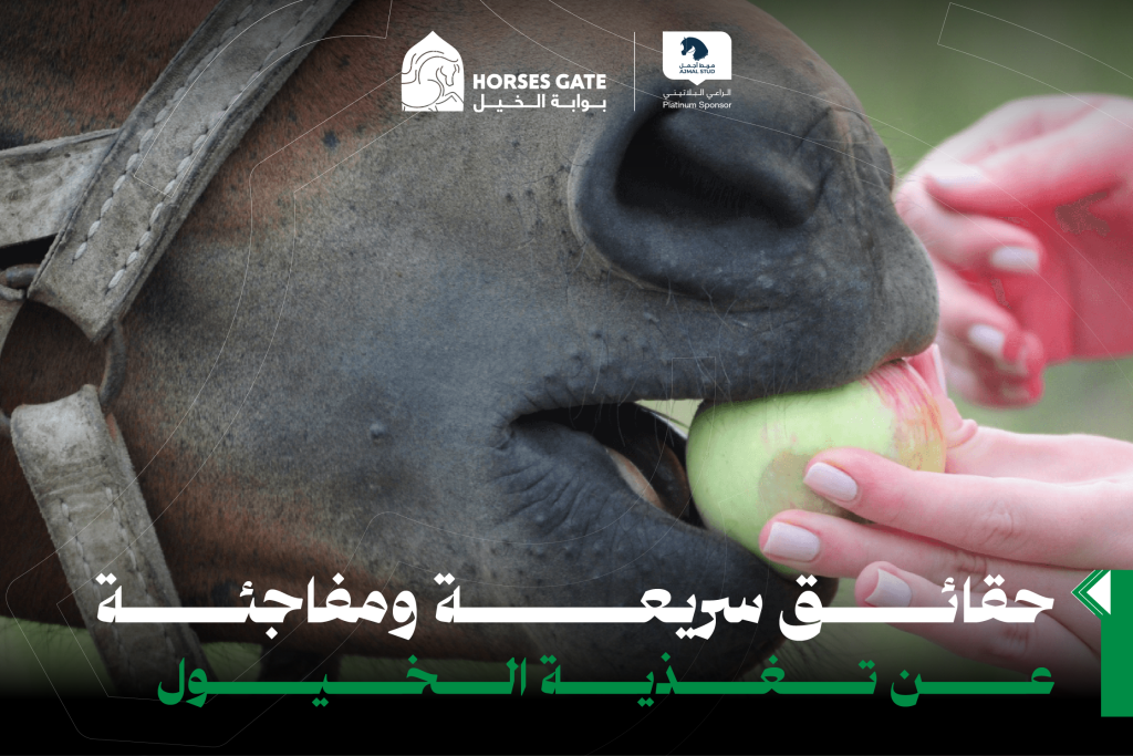 18 حقيقة سريعة ومفاجئة عن تغذية الخيول