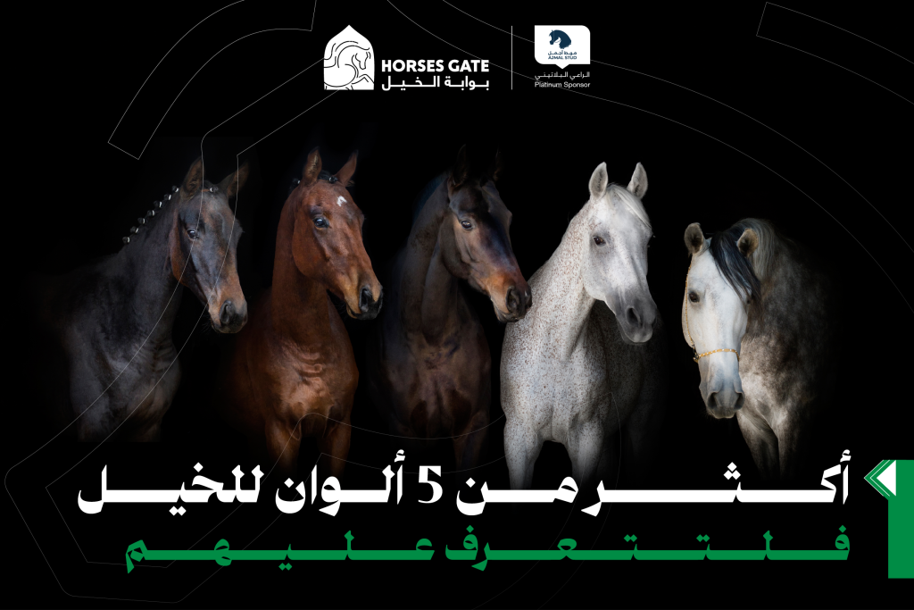 أكثر من 5 ألوان للخيل فلتتعرف عليهم