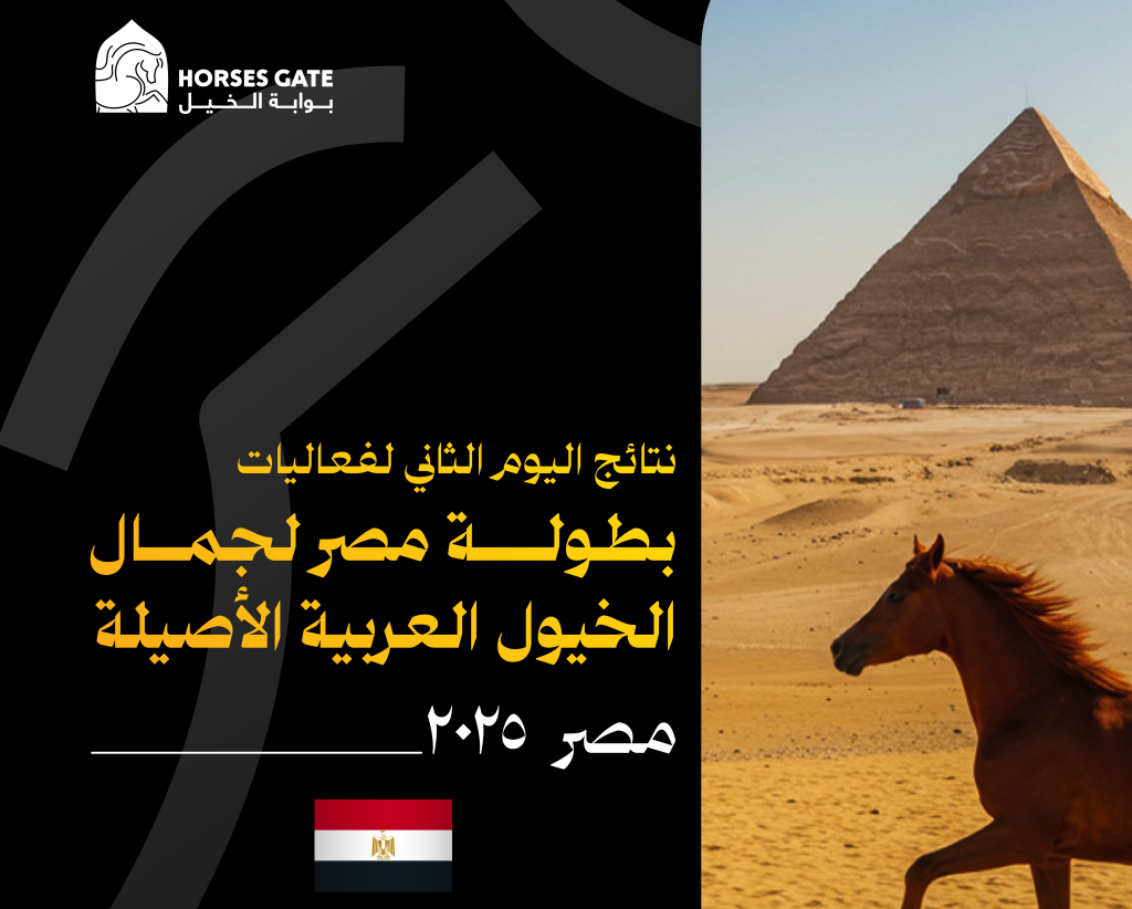 نتائج منافسات ثاني أيام بطولة مصر لجمال الخيول العربية الأصيلة 2025