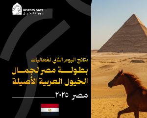 نتائج منافسات ثاني أيام بطولة مصر لجمال الخيول العربية الأصيلة 2025