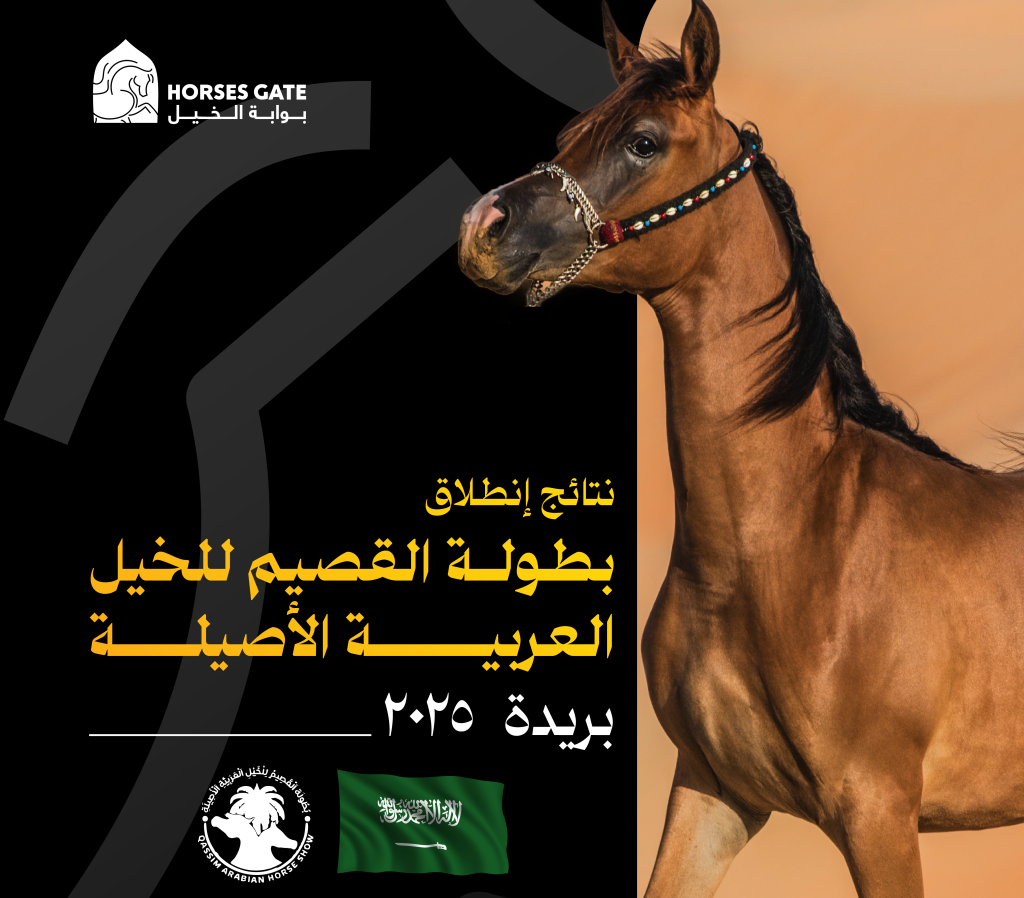 نتائج انطلاق بطولة القيصم لجمال الخيل العربية الأصيلة 2025