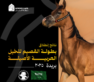 نتائج انطلاق بطولة القيصم لجمال الخيل العربية الأصيلة 2025