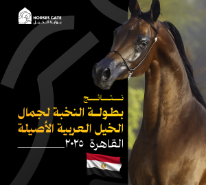نتائج بطولة النخبة لجمال الخيل العربية الأصيلة 2025
