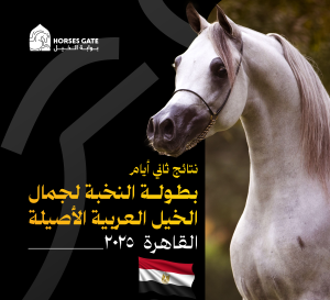 نتائج منافسات ثاني أيام بطولة النخبة لجمال الخيل العربية الأصيلة 2025