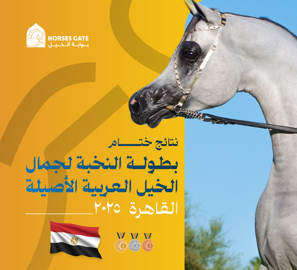 النتائج النهائية لبطولة النخبة لجمال الخيل العربية الأصيلة 2025