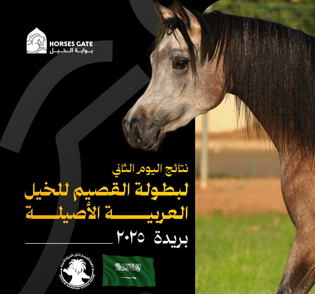 نتائج بطولة القيصم لجمال الخيل العربية الأصيلة 2025 اليوم الثاني