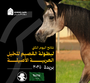 نتائج بطولة القيصم لجمال الخيل العربية الأصيلة 2025 اليوم الثاني