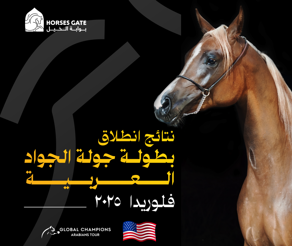 نتائج جولة الجياد العربية ميامي