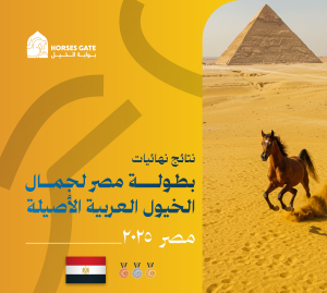 نتائج نهائيات بطولة مصر لجمال الخيول العربية الأصيلة 2025