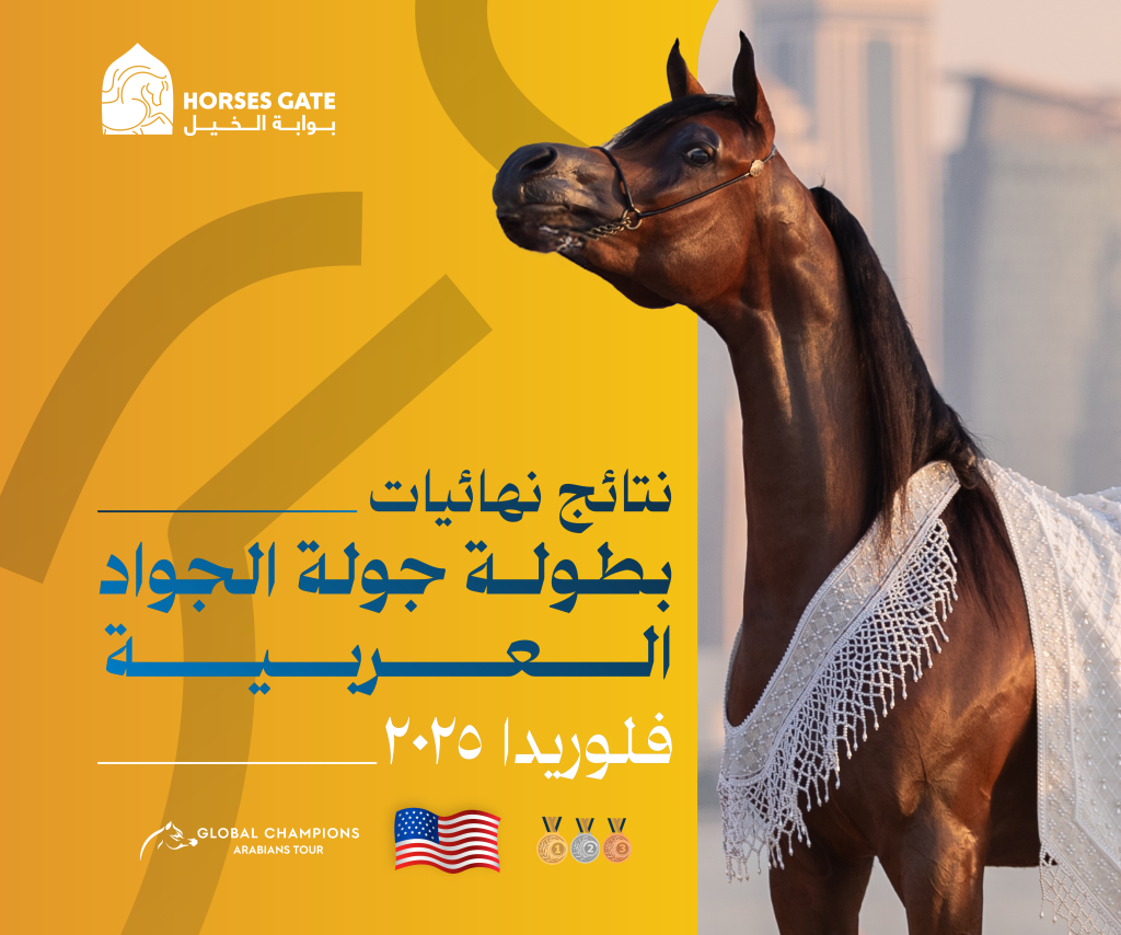 نتائج نهائيات بطولة جولة الجياد العربية ميامي 2025