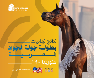 نتائج نهائيات بطولة جولة الجياد العربية ميامي 2025