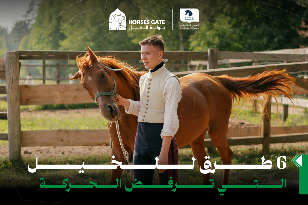 6 طرق للخيل التي ترفض الحركة