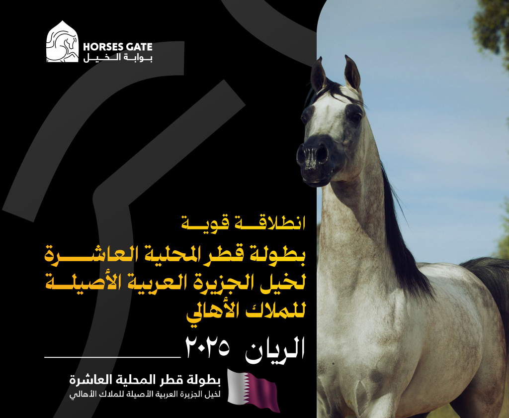 انطلاقة ولا أروع لبطولة قطر المحلية العاشرة لخيل الجزيرة العربية الأصيلة (للملاك الأهالي) 2025