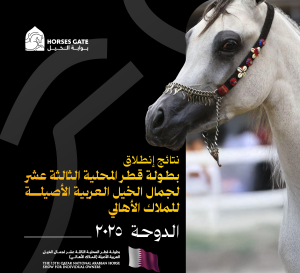 نتائج انطلاق بطولة قطر المحلية الثالثة عشر لجمال الخيل العربية الأصيلة للملاك الأهالي 2025