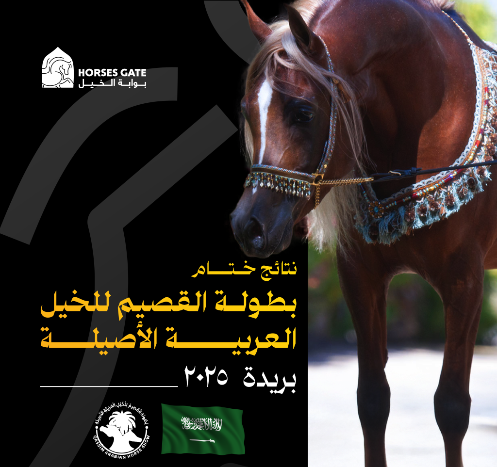 برعاية الأمير فيصل بن مشعل.. ختام بطولة القصيم للخيل العربية وسط تتويج الأبطال وتكريم الرعاة