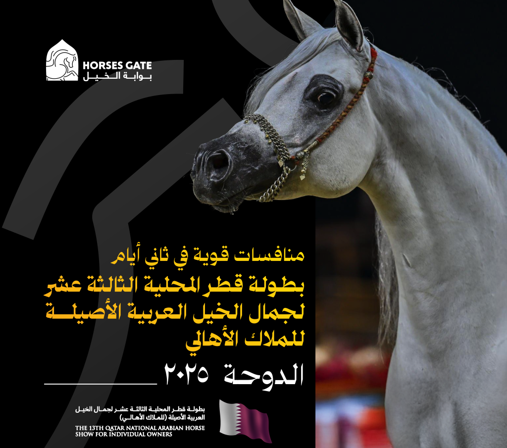 منافسات قوية في ثاني أيام بطولة قطر المحلية الثالثة عشر لجمال الخيل العربية الأصيلة للملاك الأهالي 2025