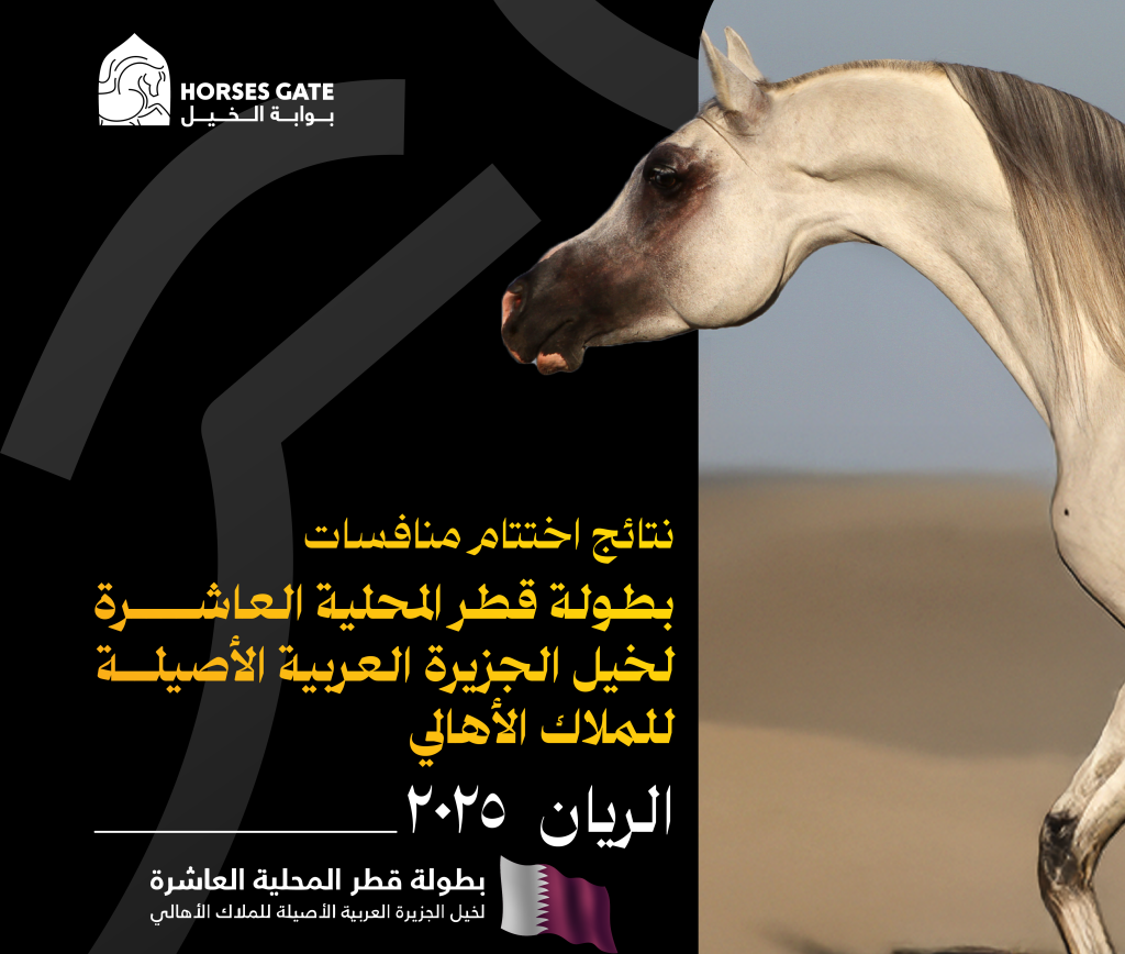 نتائج اختتام منافسات بطولة قطر المحلية العاشرة لخيل الجزيرة العربية الأصيلة 2025