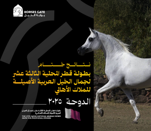 نتائج ختام بطولة قطر المحلية الثالثة عشر لجمال الخيل العربية الأصيلة للملاك الأهالي 2025