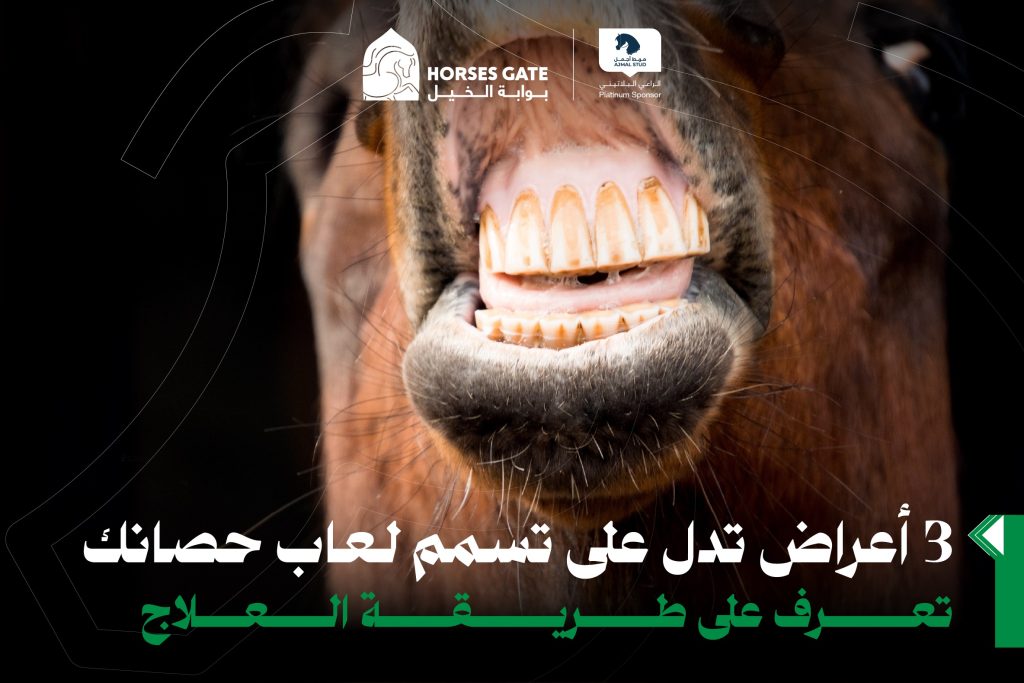 سيلان اللعاب عند الخيول